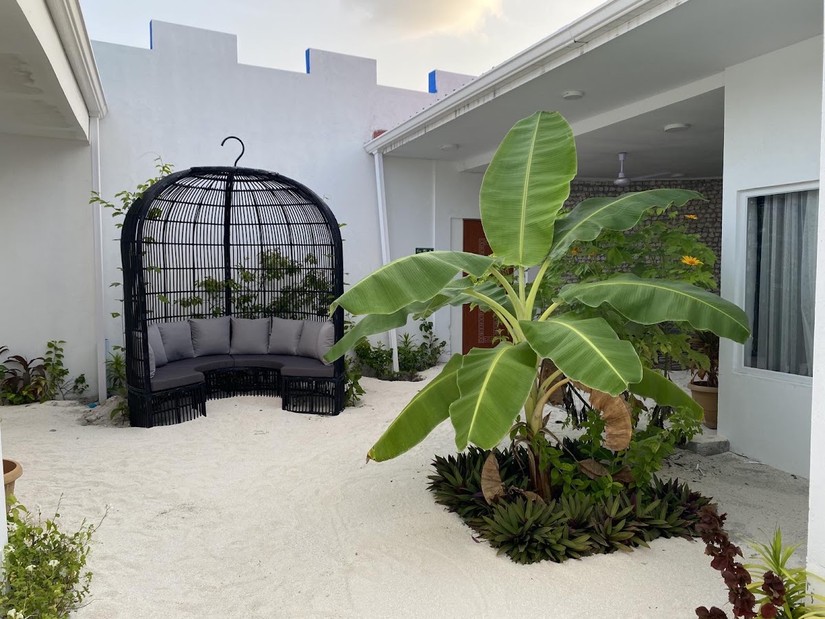 Maldives Budget Hotels
