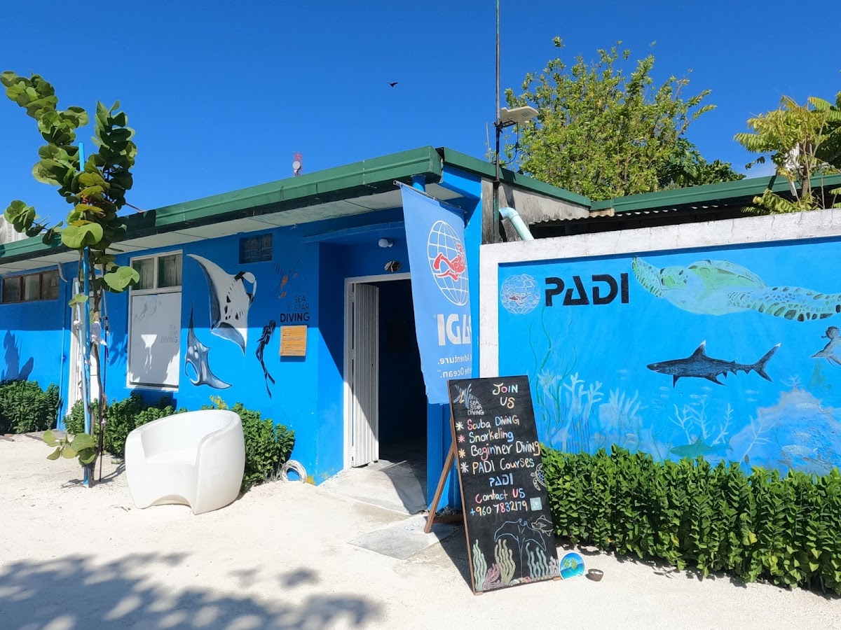 Best Maldives Diving Resorts