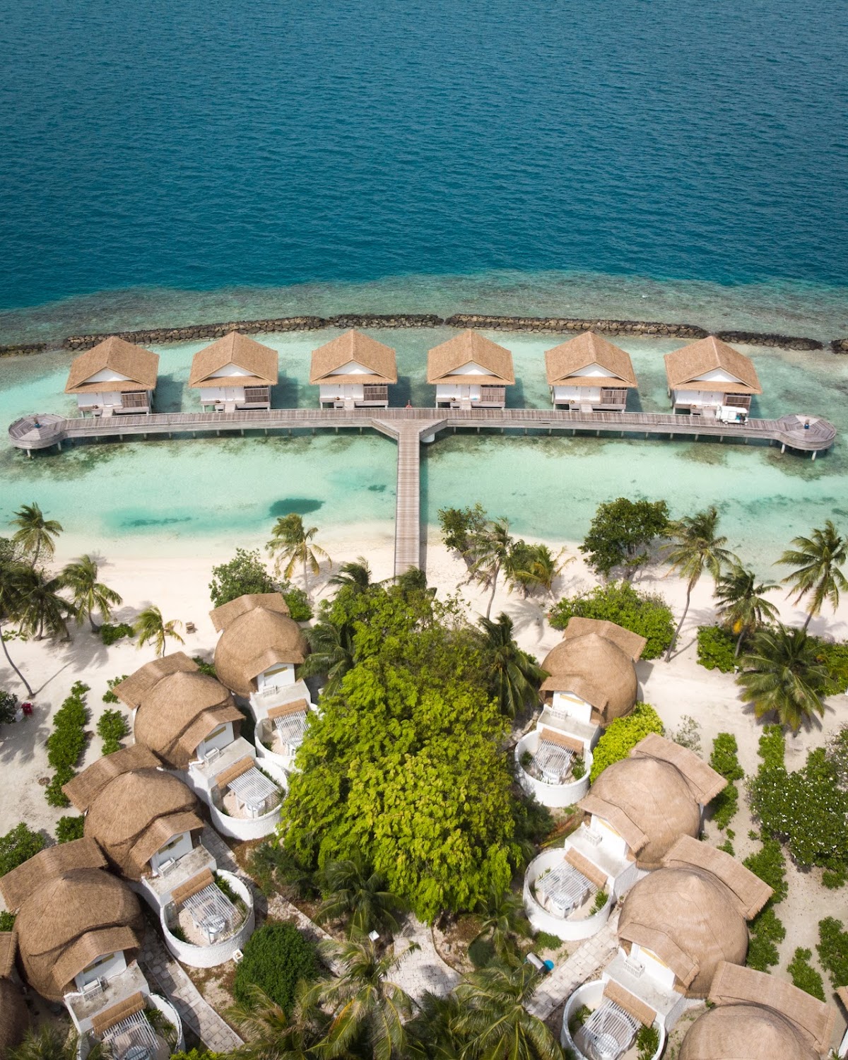 Bandos Maldives guide image