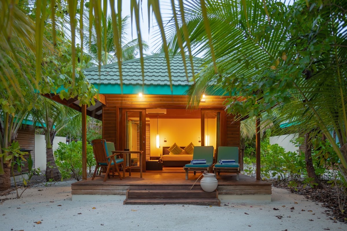 Canareef Resort Maldives guide image