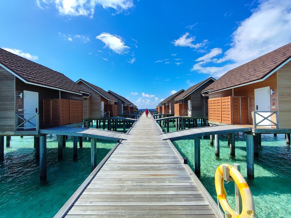 Dhigufaru Island Resort Maldives guide image