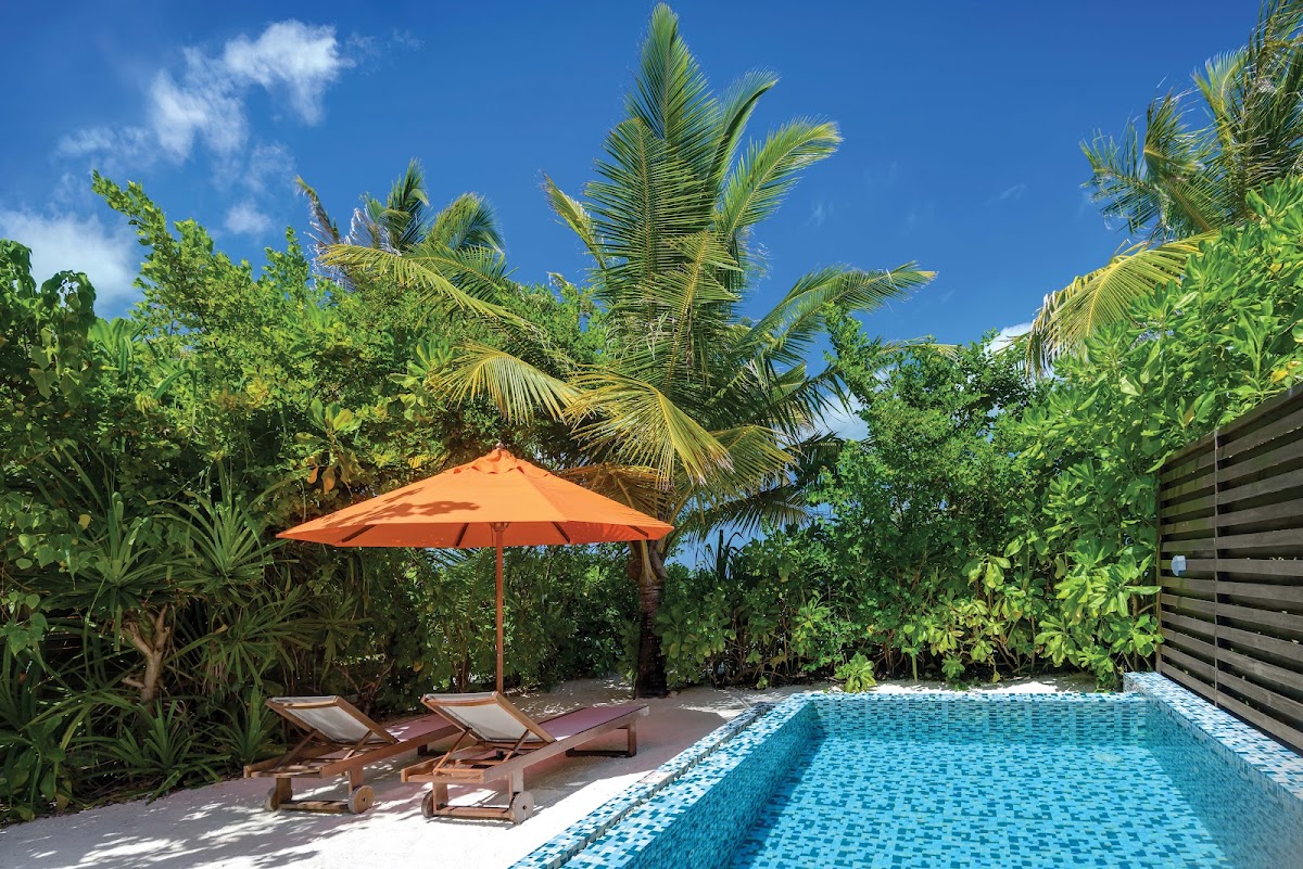 OBLU SELECT by Atmosphere at Sangeli Maldives guide image
