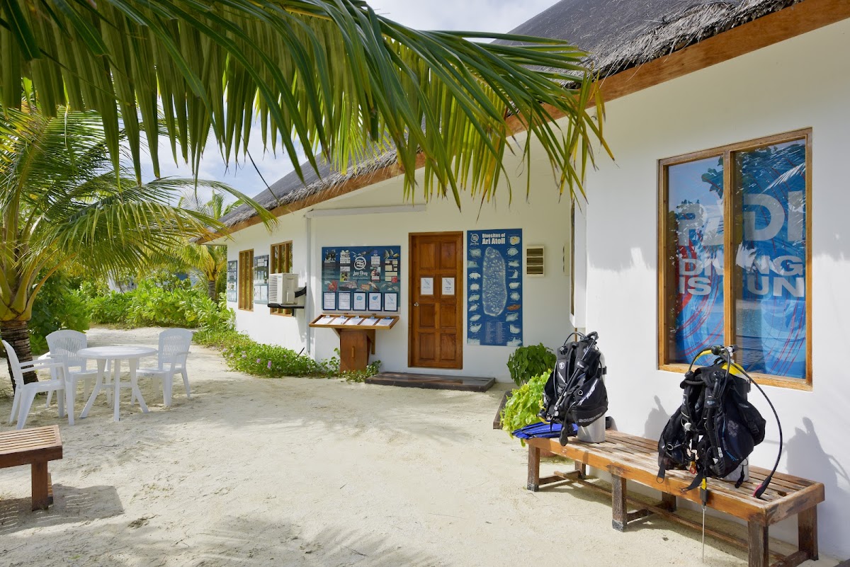 Safari Island Maldives guide image