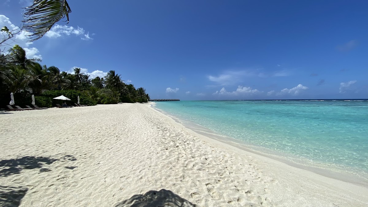 Velassaru Maldives guide image