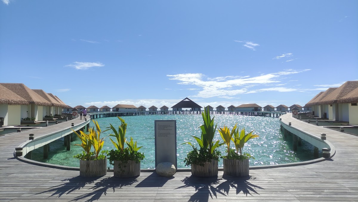Cinnamon Velifushi Maldives guide image