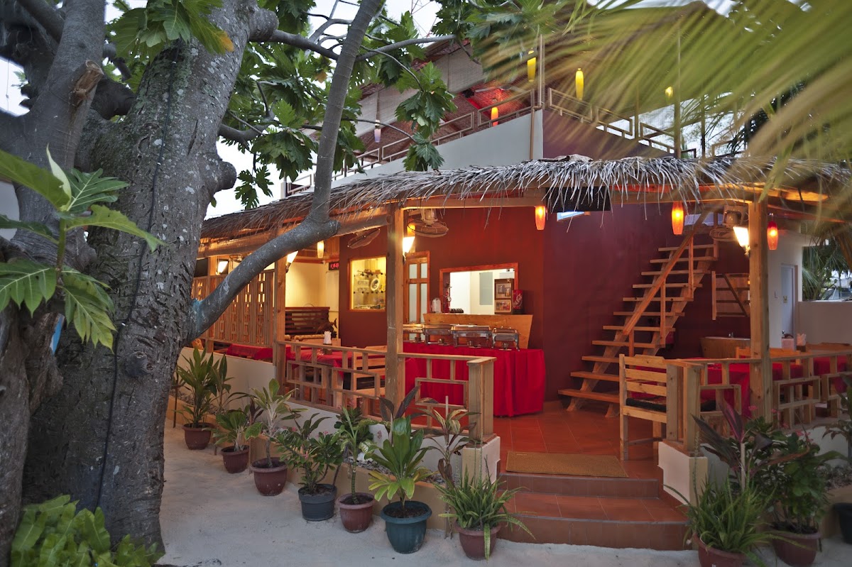 Stingray Beach Inn Maafushi Maldives guide image