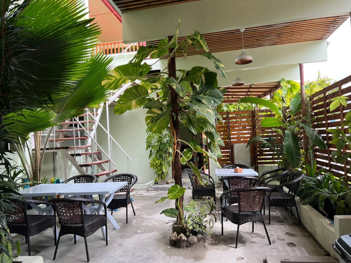 Aasna Inn Thulusdhoo Maldives guide image