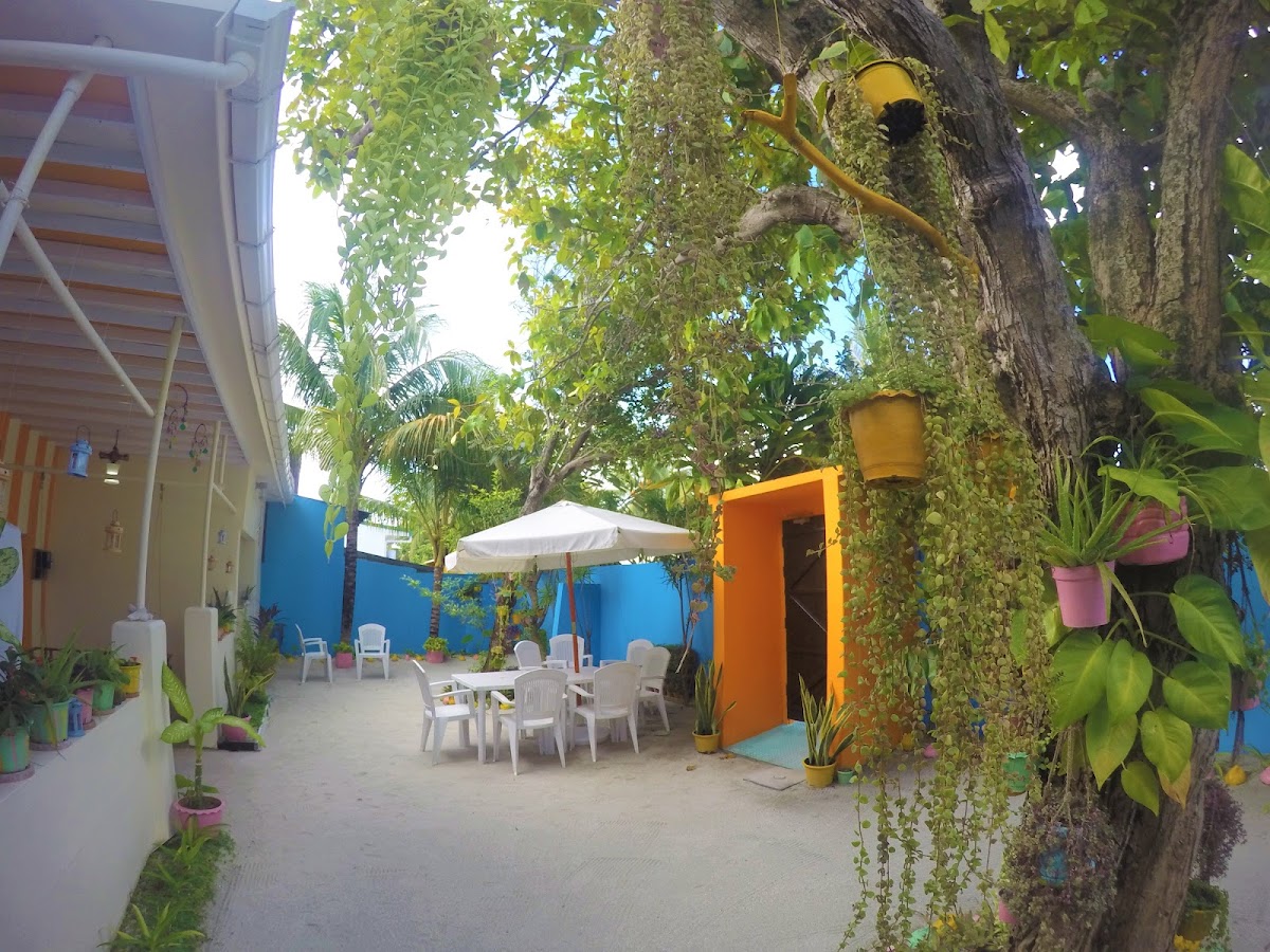 Midsummer Thulusdhoo Maldives guide