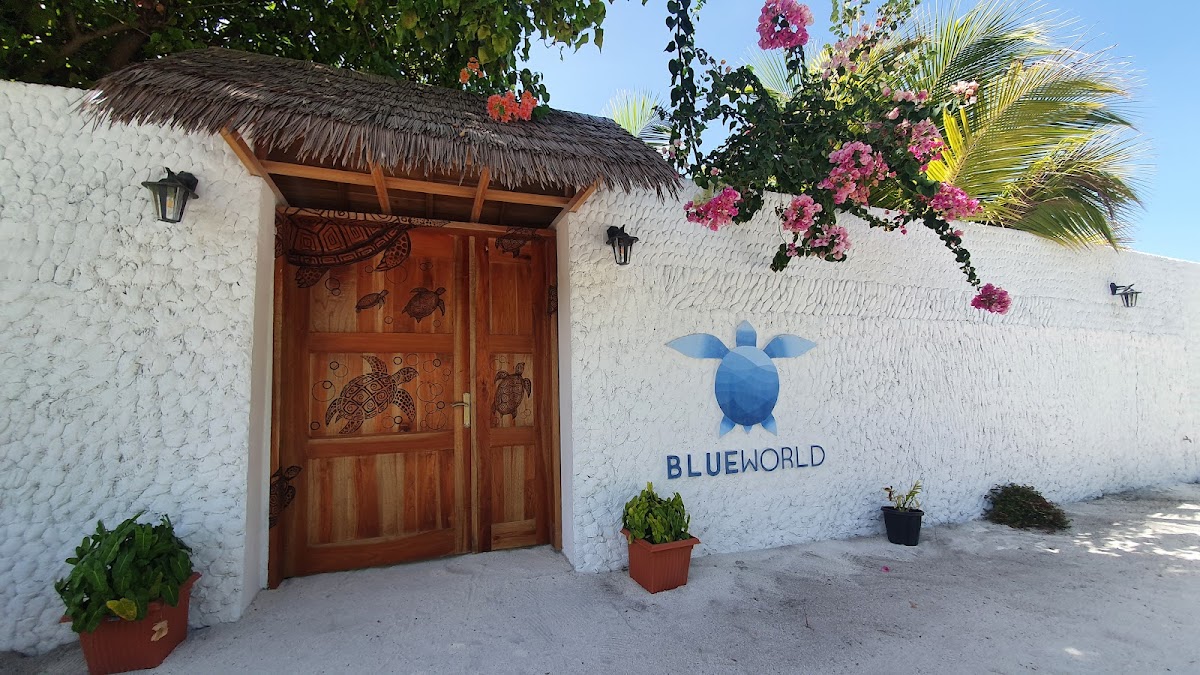 Blue World Dharavandhoo Maldives guide image