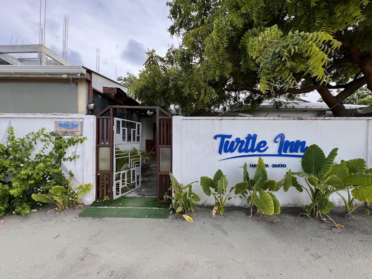 Turtle Inn Dharavandhoo Maldives guide image