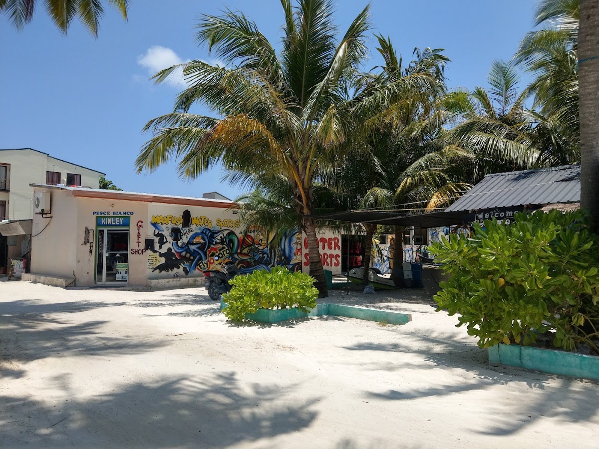 Alaka at Maafushi Maldives guide image