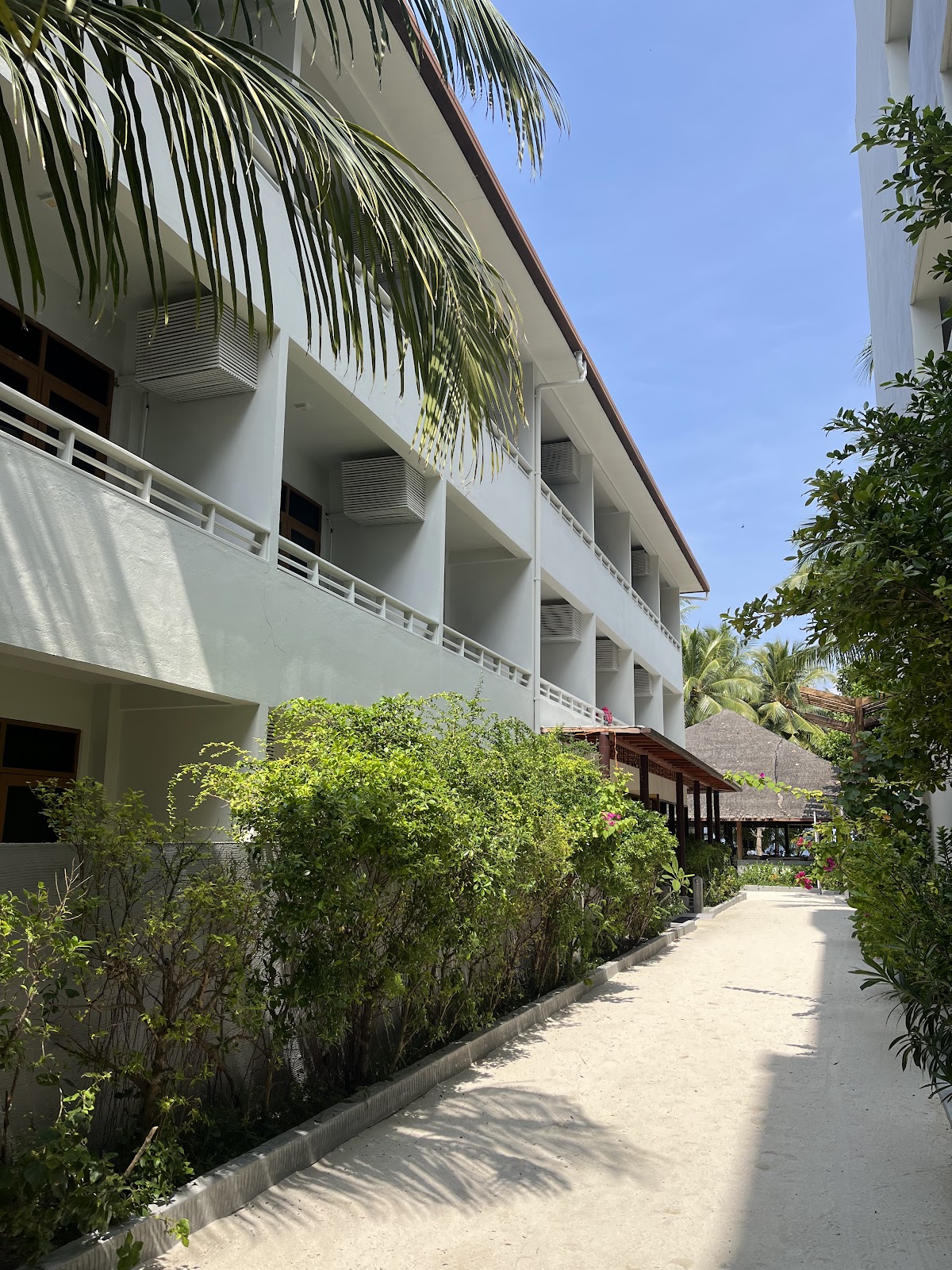 Plumeria Maldives Thinadhoo Maldives guide image