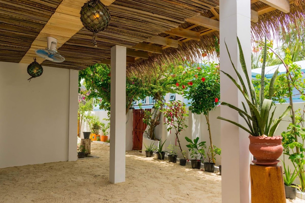 Masfalhi View Inn Felidhoo Maldives guide image